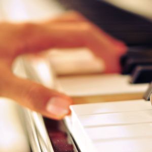 噜噜噜视频在线观看
