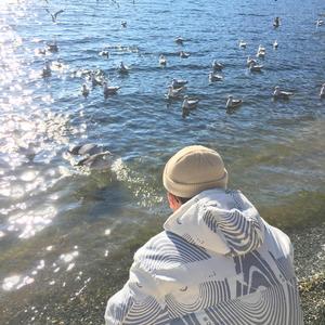 噜噜噜视频在线观看
