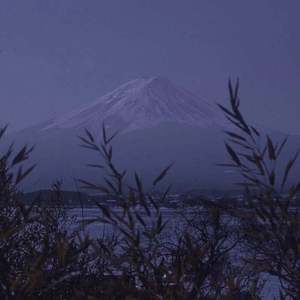 噜噜噜视频在线观看
