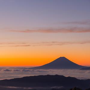 噜噜噜视频在线观看
