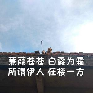 噜噜噜视频在线观看
