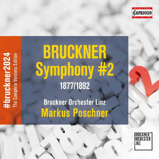 噜噜噜视频在线观看
