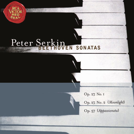 噜噜噜视频在线观看
