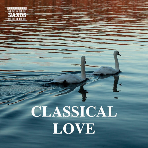 噜噜噜视频在线观看
